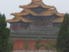 DSCN2024 (Copia)