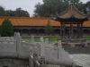 DSCN2038 (Copia)