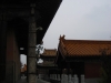 DSCN2121 (Copia)
