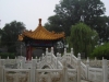 DSCN2141 (Copia)