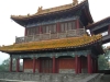 DSCN2199 (Copia)