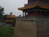 DSCN2208 (Copia)