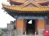 DSCN2209 (Copia)