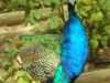 DSCN4588
