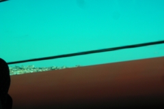 lagos-lisboa