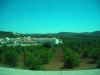 DSCN6169