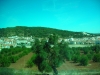 DSCN6170