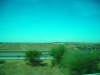 DSCN6172