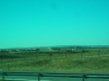DSCN6181