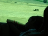 DSCN6186