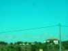 DSCN6195