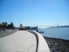 DSCN3554