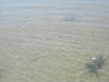DSCN3581