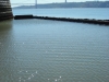 DSCN3584