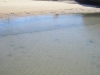 DSCN3588