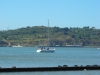 DSCN3598