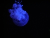 DSCN4025