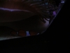 DSCN4077