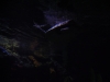 DSCN4150