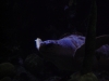 DSCN4166