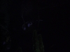 DSCN4195