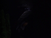 DSCN4227
