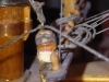 DSCN3120_JPG