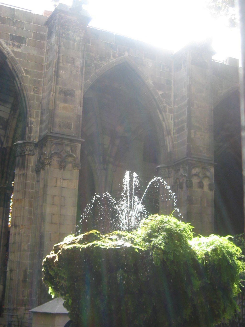 Barcellona, Cathedral - chiostro